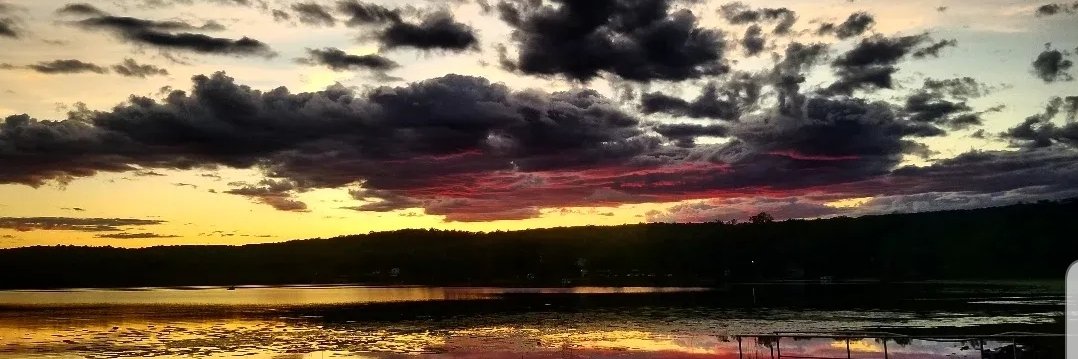 WilliamMToner's profile banner image