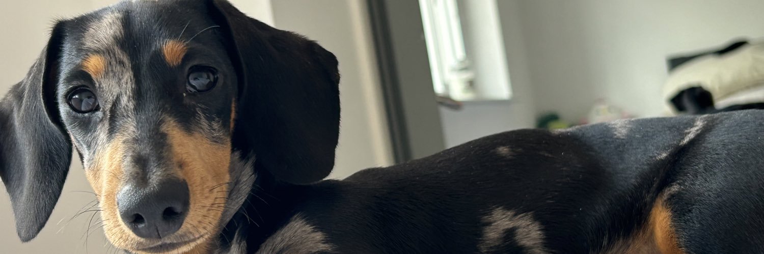 jakehenderson98's profile banner image