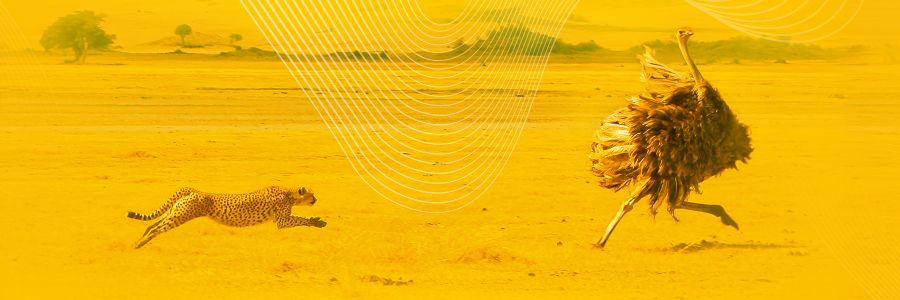 getitmobile's profile banner image