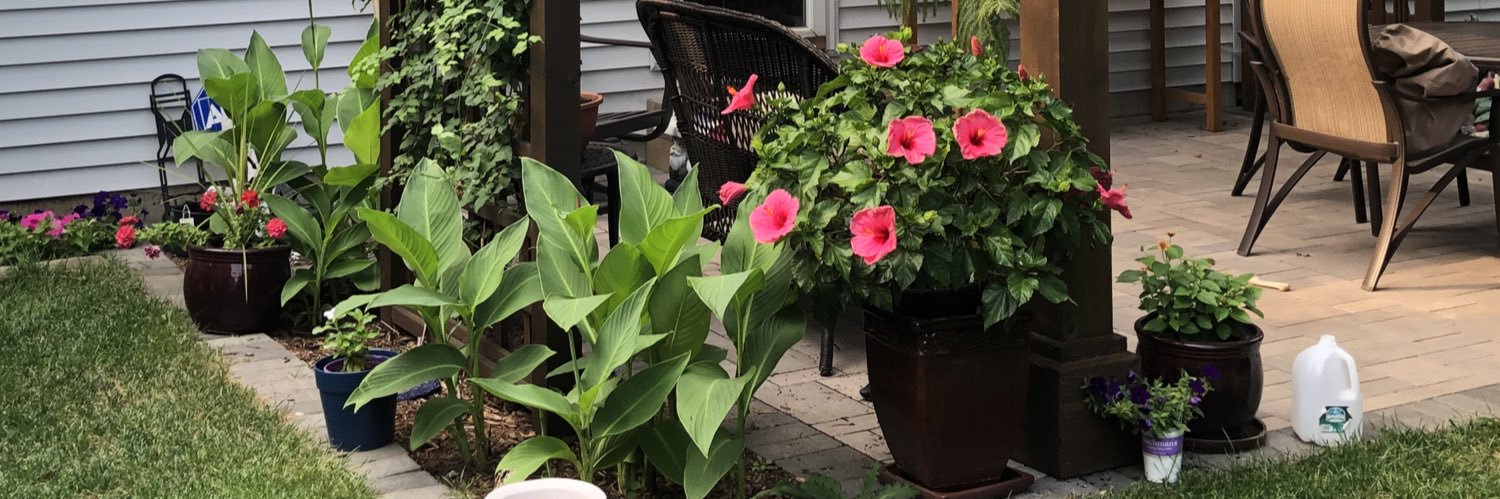 beamerofjoy's profile banner image