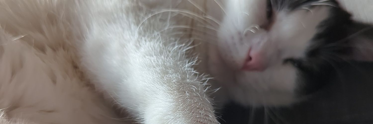 pitu22_94's profile banner image