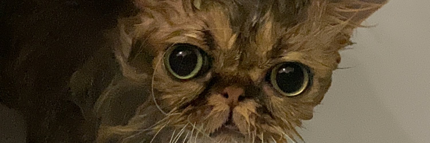 LeBabouchko's profile banner image