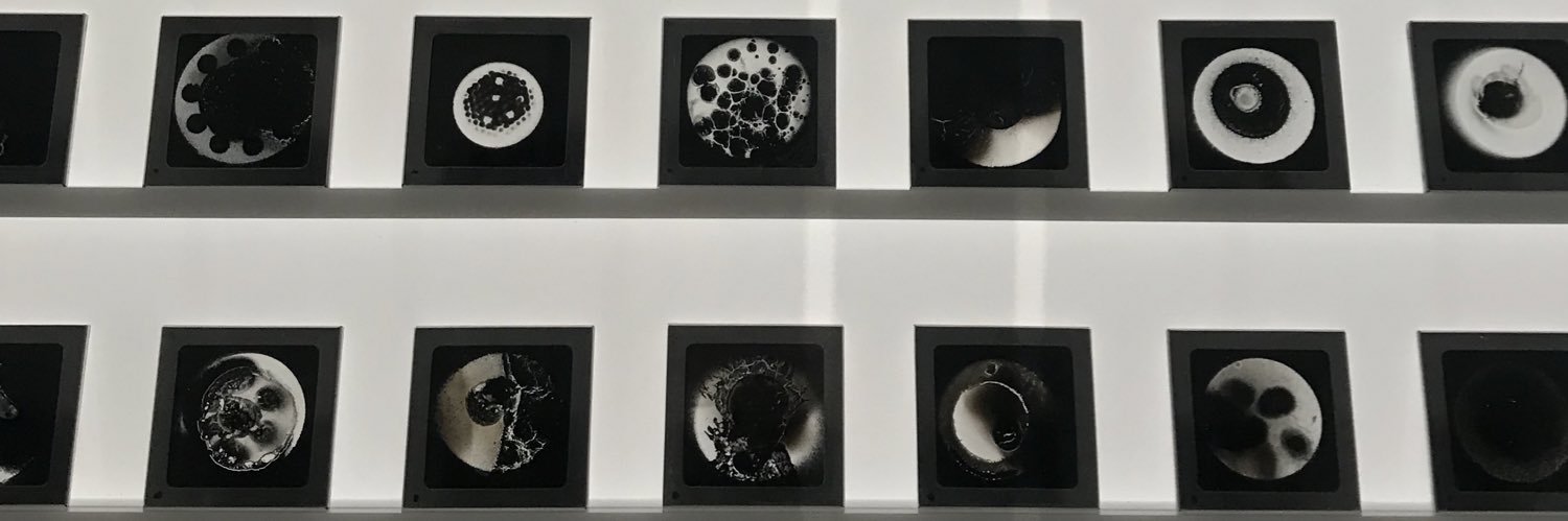ifromthemoon's profile banner image