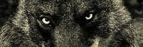 prevgar's profile banner image