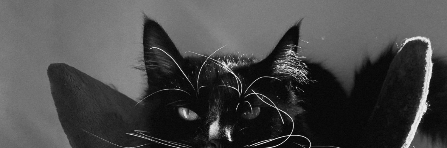 lorensuescun's profile banner image
