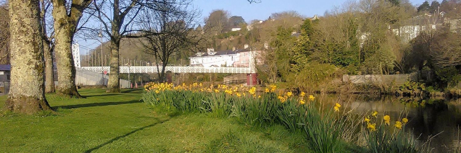 Pauline Murphy banner