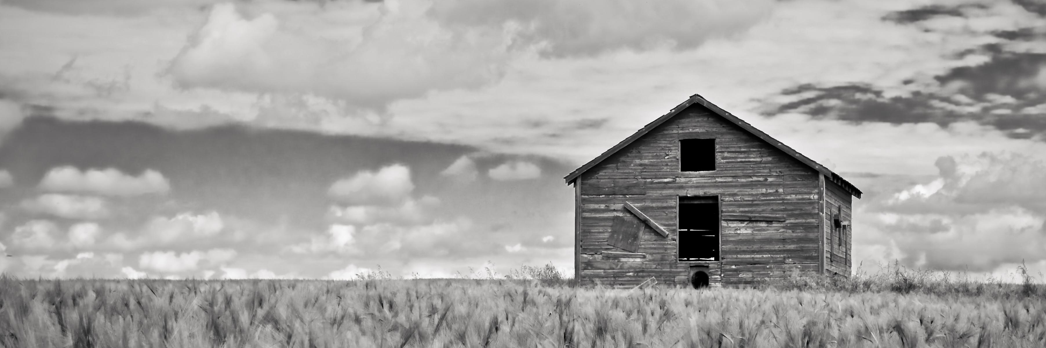 TheShedMarket's profile banner image