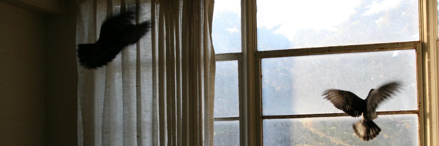 GuerrillaThink's profile banner image
