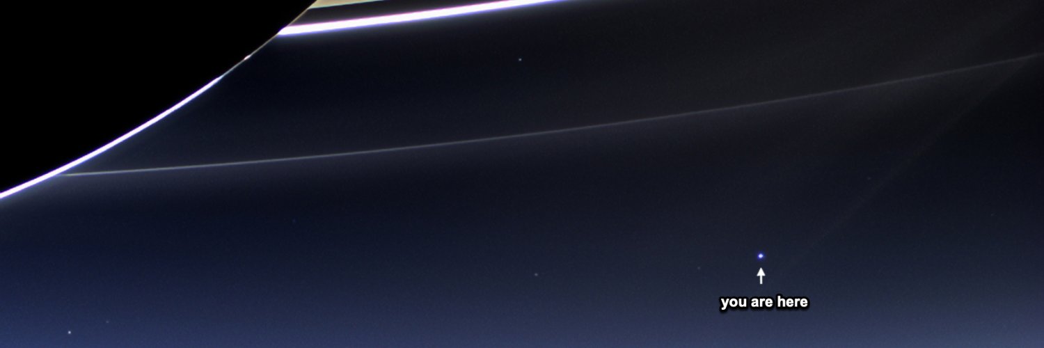 Alex Perelman banner