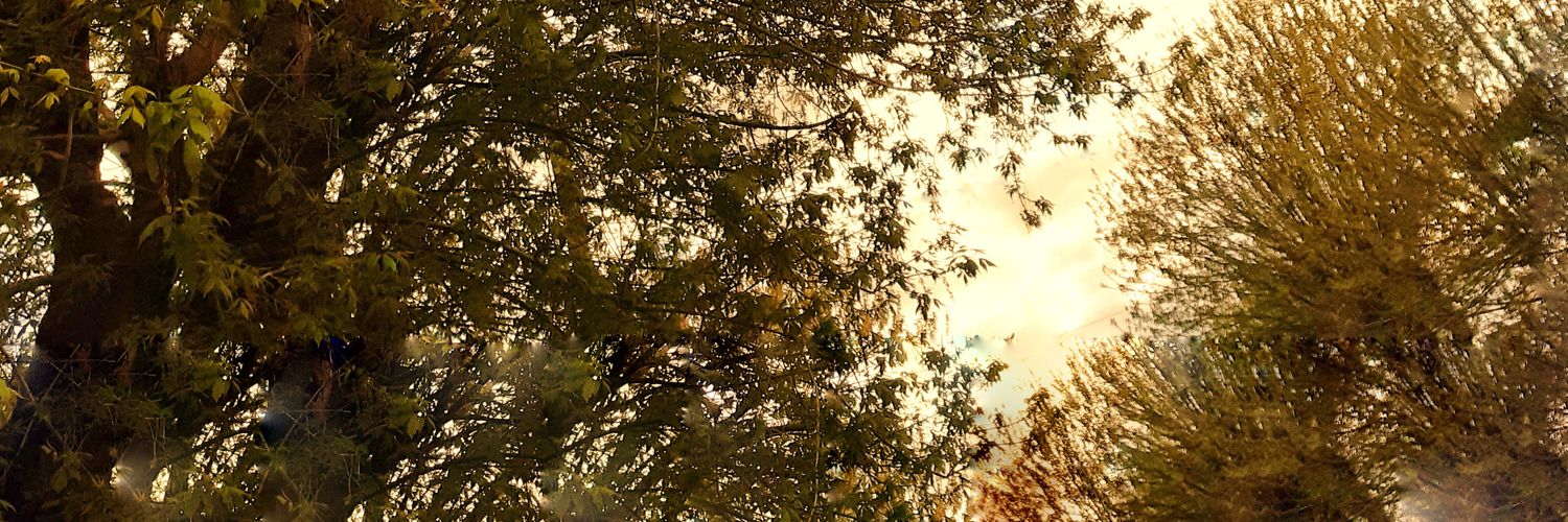 Marii_Valentee's profile banner image
