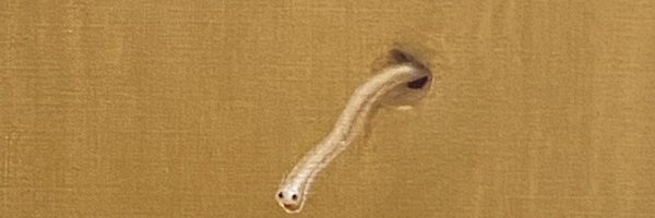 ntbuak Profile Banner