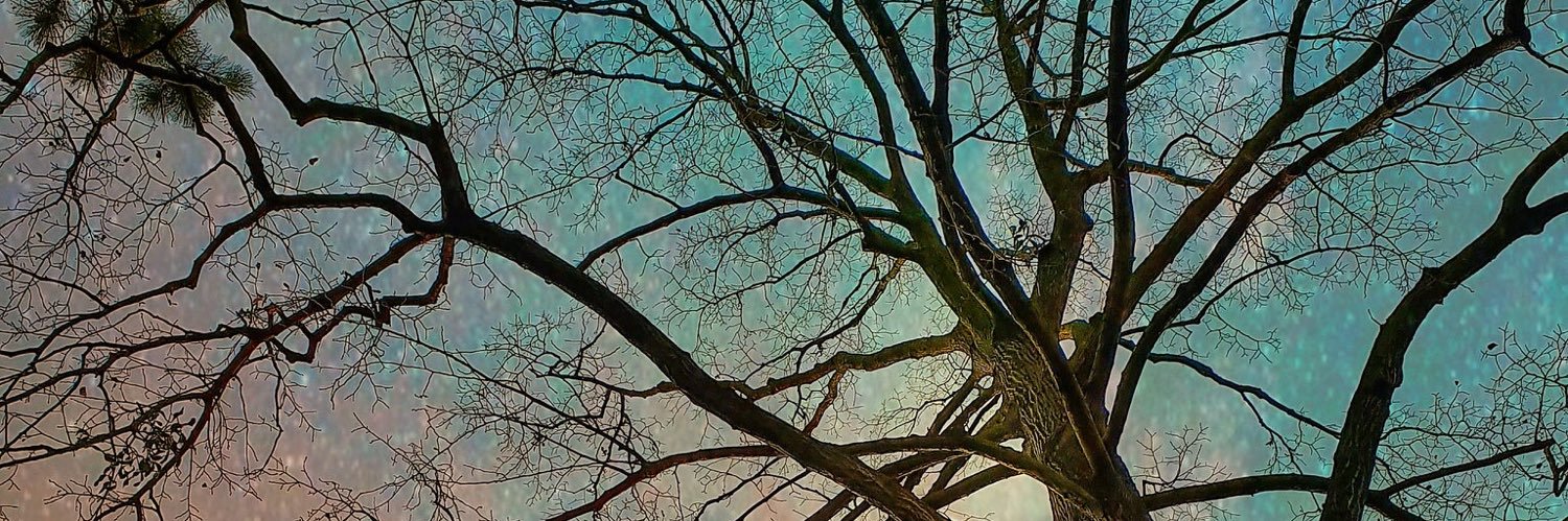 coryge's profile banner image