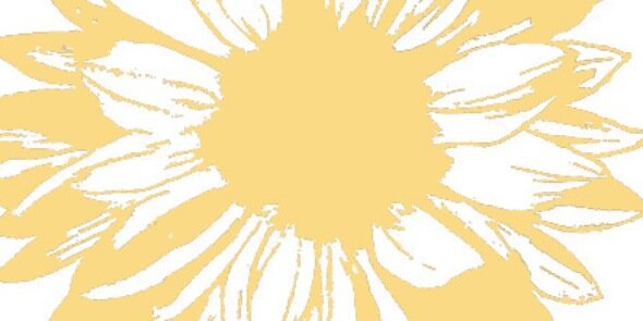 stephanie taylor banner