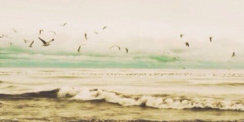 lottiegdrx's profile banner image