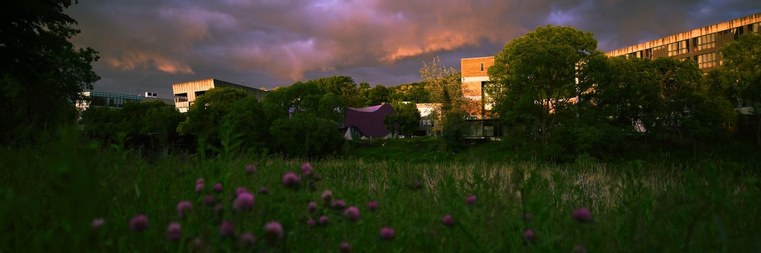 pyh231's profile banner image