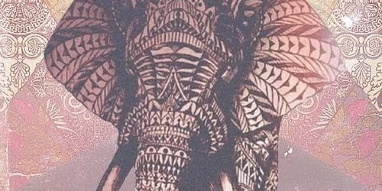 piperbquotes's profile banner image