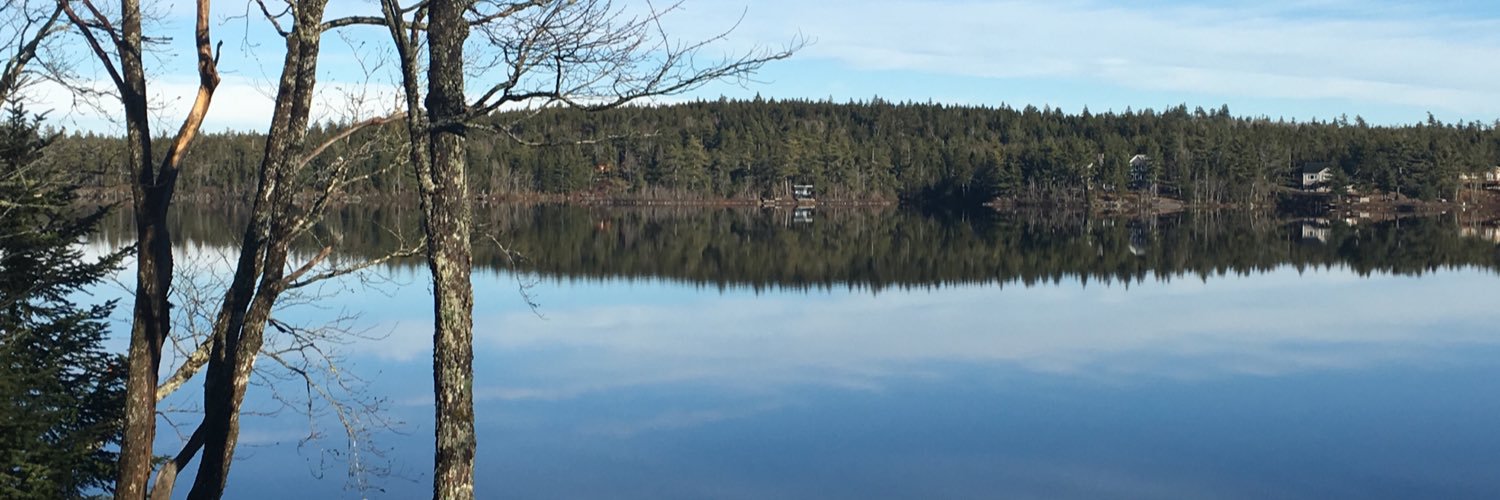 cockscomblake's profile banner image
