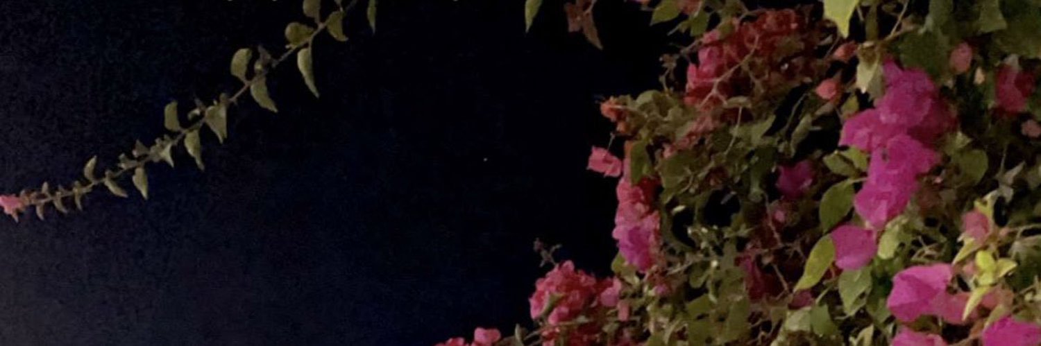 سـاره المـوسى banner