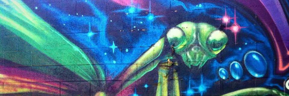 AnkianaCOS's profile banner image