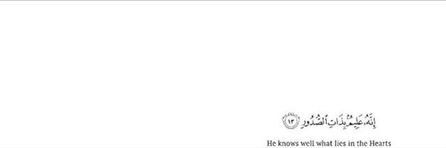 nexi__0's profile banner image