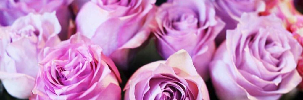 __sShoog's profile banner image