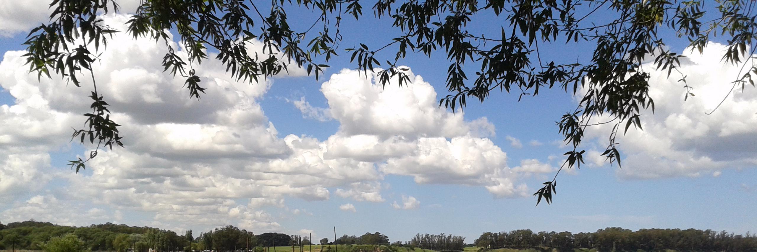 AyeDistefano's profile banner image