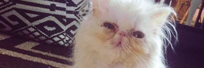 BabiiiVee's profile banner image