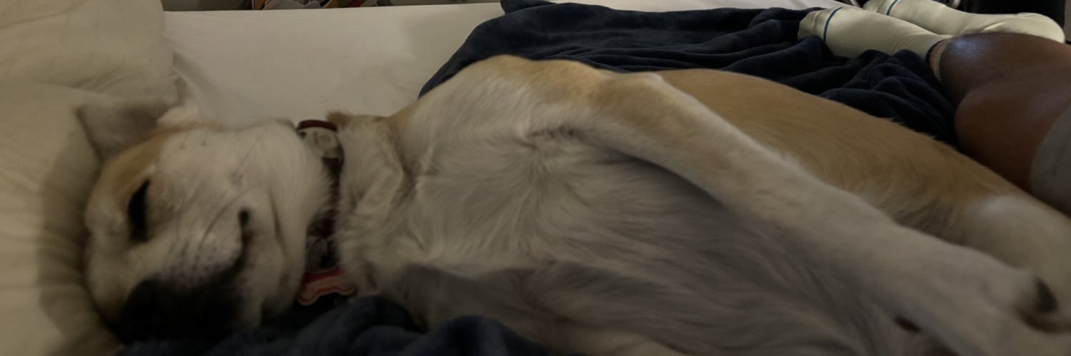AngelM3_0's profile banner image