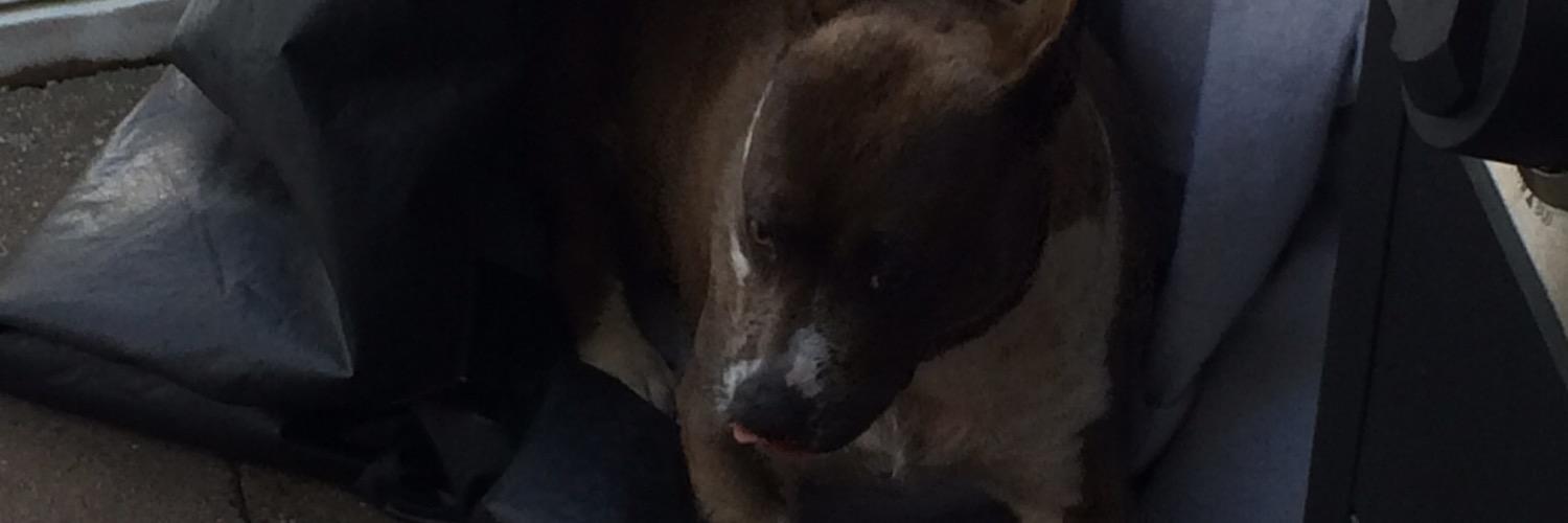bracken66's profile banner image