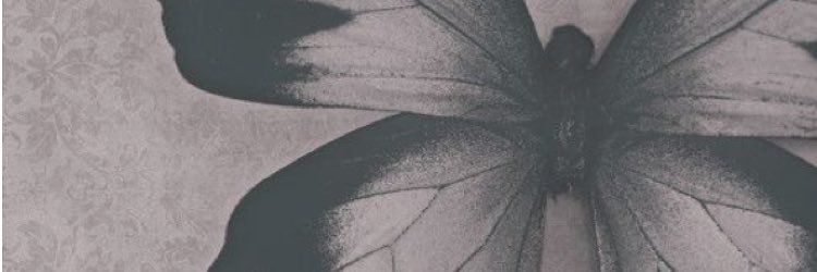 Amandakeffer's profile banner image