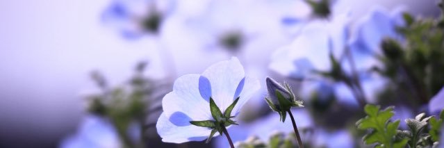 masumin_blue's profile banner image