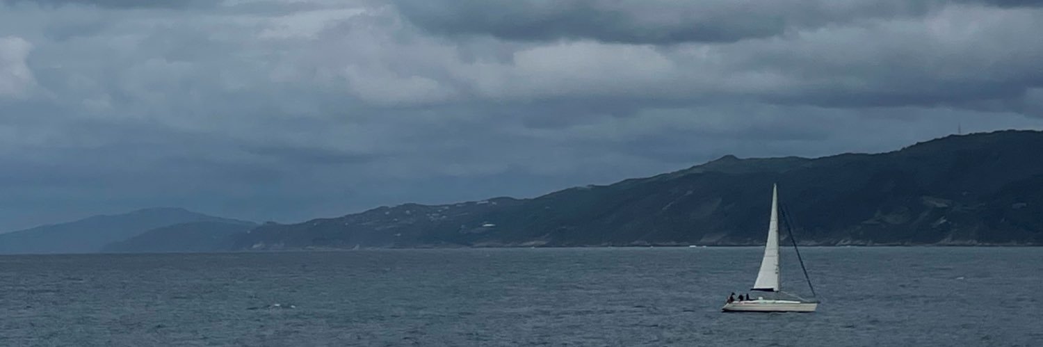 eneaagra's profile banner image