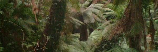 Perceivedlogic's profile banner image