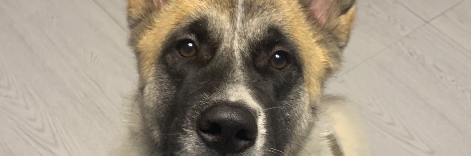 rocieellyy's profile banner image