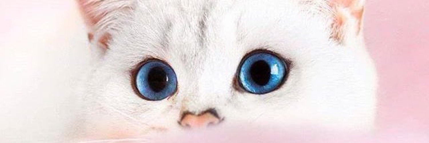 wat22ty's profile banner image