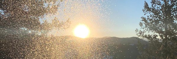 LindsProwse Profile Banner