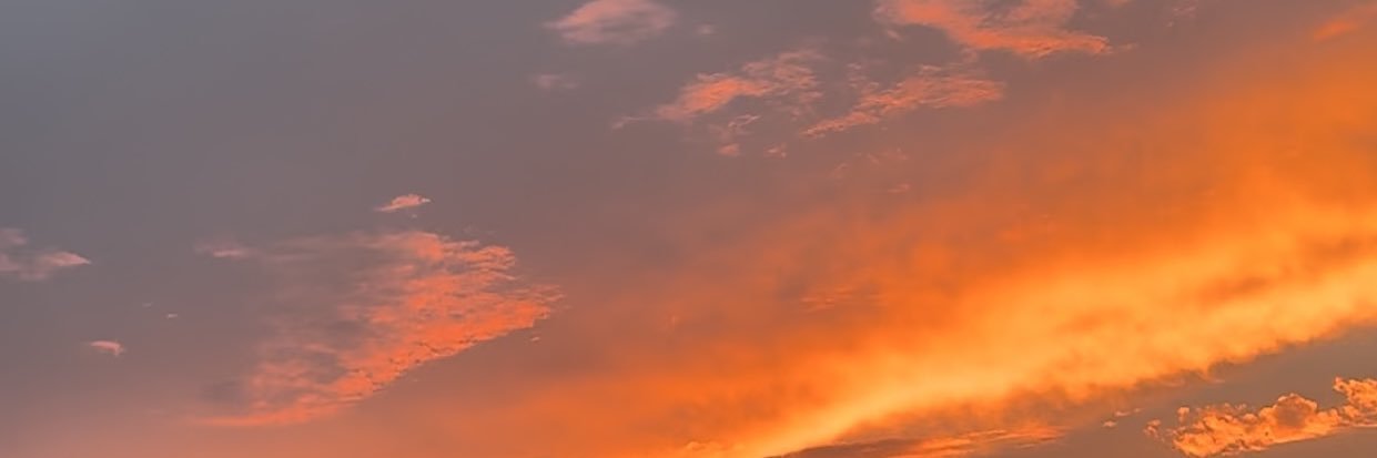 zachpalmo_'s profile banner image