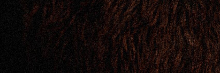 FuzzyBears banner