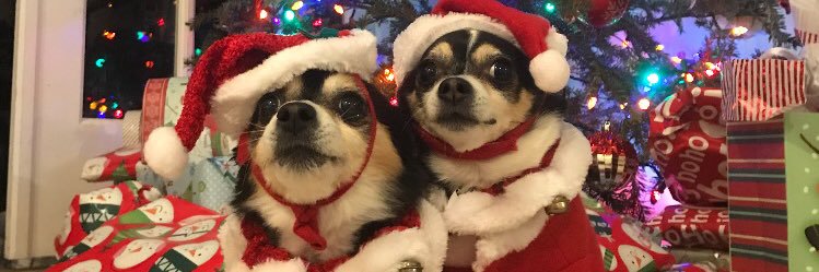 _Paulysmallz's profile banner image