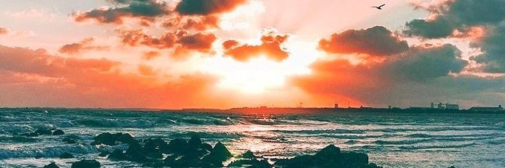 Lulegan's profile banner image
