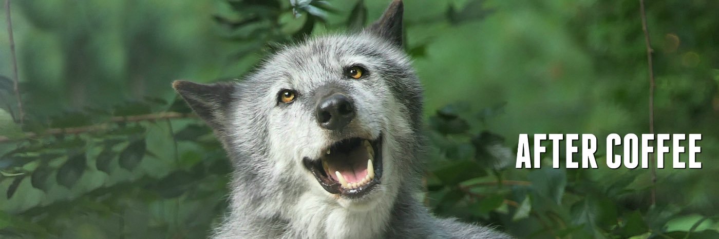 ☕️ Bad-Request_400 ☕️ banner