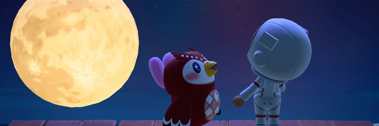 Kittux's profile banner image