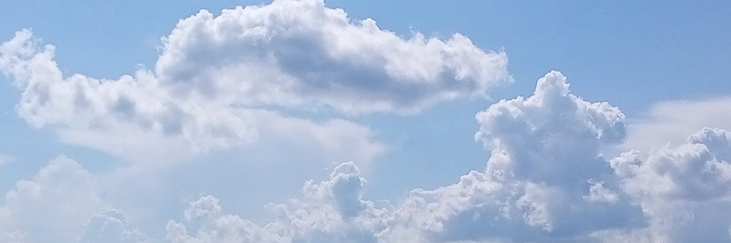 Совушка banner