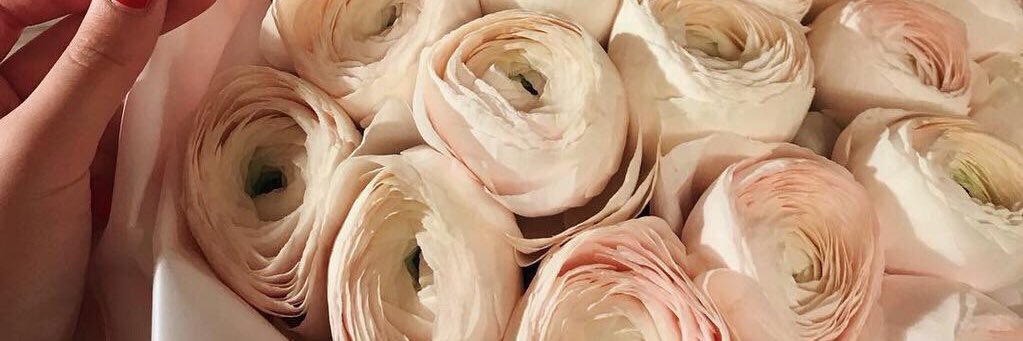 ir_lowe's profile banner image
