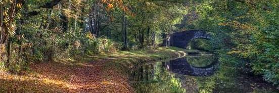 Keith Macdonald banner
