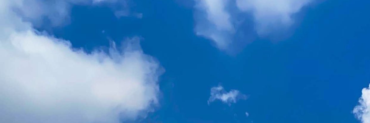 HNMR445's profile banner image