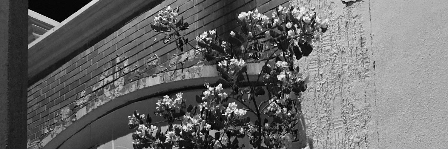 Tarararo's profile banner image