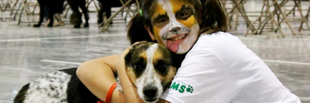 angel_4animals's profile banner image
