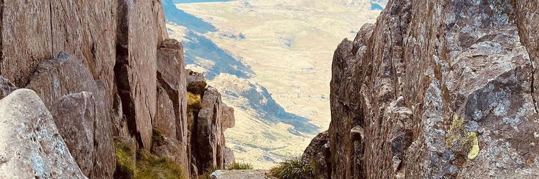 Sarah Raynard-Hunt banner