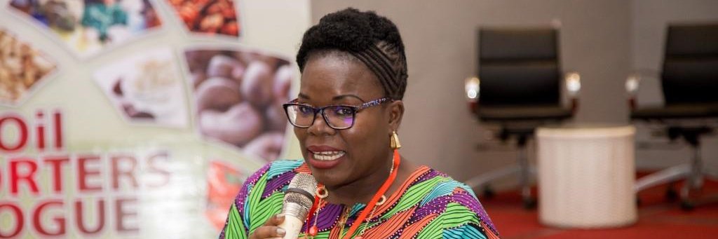 Titi Ojo (PMP, NBDSP) banner